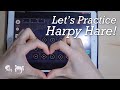 【𝐒𝐤𝐲 𝐂𝐨𝐭𝐋】 Let’s Practice 「Harpy Hare」 in Sky Studio ♪ | Sky Piano Music Cover