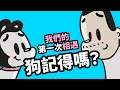 狗與鹿｜狗的記憶力｜我們的第一次相遇，狗狗記得嗎？狗獨自在家，他有多想我呢？9個行為揭開狗狗記憶的秘密