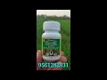 दैविक कॅप्सूल की पुरी जाणकारी daivic capsule कृषी संगम