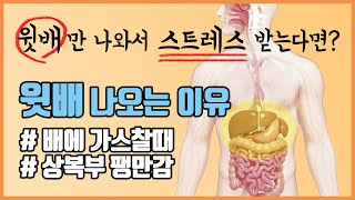 윗배 나오는 이유 증상과 해결방법 (배에 가스찰때, 상복부 팽만감)