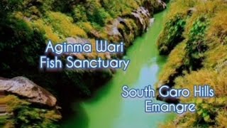 Aginma Wari /South Garo Hills/short video