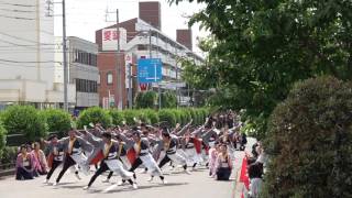 勝山組　2016犬山踊芸祭6/5（日）　パレード会場 2回目