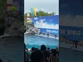 Dolphin show | Safari World Bangkok Thailand #shorts #safariworldbangkok #dolphin #dolphinshow