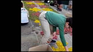 Infiorata 2018 in Cupramontana