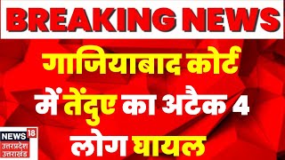 Breaking: Ghaziabad Court में तेंदुआ का हमला, एक साथ 4 लोगों को किया जख्मी।Leopard। Latest News