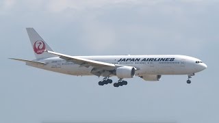 【飛行機】 強風時の着陸 JAL（日本航空） Boeing 【羽田空港】（つばさ公園）