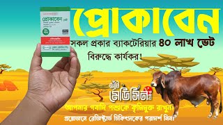 Pocaben 40 Lac Vet । পোকাবেন ৪০ লাখ ভেট । গবাদিপশুকে কেনো দিবেন ও উপকারিতা কি, কোন রোগে কার্যকর।