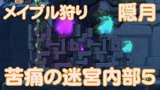 メイプル狩り「テネブリス - 苦痛の迷宮内部5」隠月252