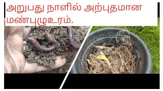 ரொம்ப ரொம்ப ஈசியான முறை.