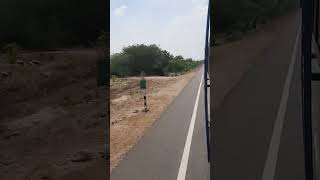 150km/hrs Tirupattur to pillyarpatti Bus Travel#shorts#youtubeshorts #tamil#motivation#song#ytshorts