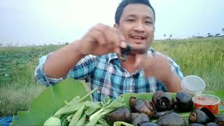 ASMR Khmer Rural food🐌🐚 ខ្យងស្រែចំហុយទឹកត្រីកោះកុង