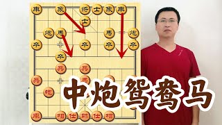 不會鴛鴦馬，還玩什么中炮？內力漲三成！學專業教材、立不敗之地