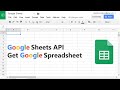 Google Sheets API | Get Google Spreadsheet