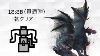 [MHWIB][PC] アルバトリオン ヘビィボウガン(貫通弾) 13分35秒 ソロ 初クリア Alatreon HBG Solo 煌黑龍 重弩(貫通彈)