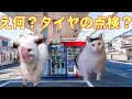 ガソリンスタンドでバイトしてた頃の話【猫ミーム】