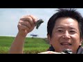 ブラックバスの釣り方　ラバージグ編（特徴）