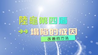 「陸龜飼養教學」陸龜第四盾塌陷  陸龜盾甲凹陷 常見新手問題 如何避免盾甲凹陷 盾甲凹陷怎麼辦呢? 6分鐘幫你解決問題 #陸龜 #新手飼養 #tortoise #新手養龜 #槑龜園