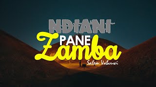 NDIANI PANE ZAMBA -  SALEM VABVUWI