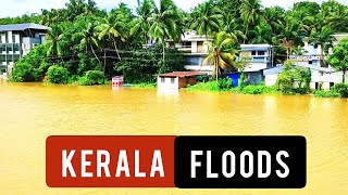 Scenes from Malappuram Vengara Kooriad parts submerged in flood #floodkerala #flood #rain #village