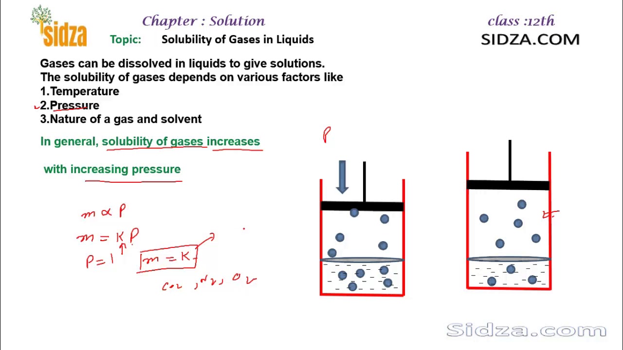 Solubility Of Gases In Liquids - Henrys Law - YouTube