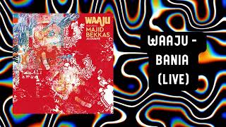 Waaju - Bania (Live) (Official Audio)