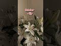 #aesthetic#youtubeshorts#flowers#shorts#fypシ#trending#viral#shortvideo#fyp#birthday#month#jennie