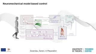 Neuromechanics model based controller for walking assistance via exoskeleton at BioRob 2020