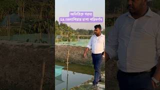 অতিরিক্ত গরম || SA তেলাপিয়া পোনার মান পরিদর্শন #fish #agriculture #satilapia #তেলাপিয়াচাষ #মনোসেক্স