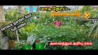 மாடிதோட்டம் 🤩 வெறும் 400 சதுர அடியில் இவ்வளவு செடி கொடிகளா my terrace garden tour #garden