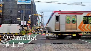 尾山台（世田谷区）｜Oyamadai Staton Tokyo, Japan [Dec.2019 GoProHero8 4K]