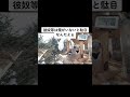 スズメの親分シメさん シメ スズメの親分 北海道野鳥ライブ 北海道野鳥live birdwatching birdfeeder 野鳥観察 定点観測 北海道 hokkaido