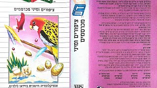 תצוגה מקדימה לקלטת הוידאו \