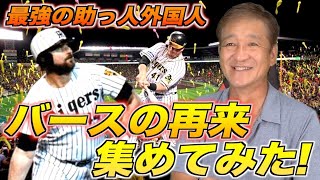 遂にボーアがバースの再来か！？バースの再来と言われた外国人助っ人を見ながら真のバースになる条件を決めたよ〜♪