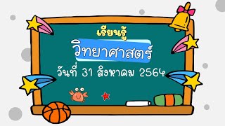 สอนออนไลน์ เรียนรู้วิชาวิทยาศาสตร์ ป.4 : สัตว์ไม่มีกระดูกสันหลัง (31 ส.ค. 64)