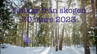 Tankar från skogen 30 mars 2023