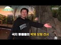 국립생태원 찐미소 가득한 비바리움 일타강사 김대호 아나운서의 덕업일치💚🦎