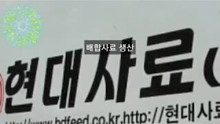 [세력주닷컴 상한가 정보] 현대사료 - 상한가따라잡기 상한가굳히기 급등주상한가 상한가만드는방법 코스닥상한가종목 금일상한가 시간외상한가 실시간상한가 주식상한가 상한가축하해요  축상