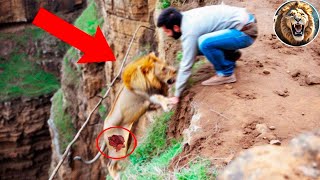Animals That Asked People for Help & Kindness! #21 | D-Animal Grow Up