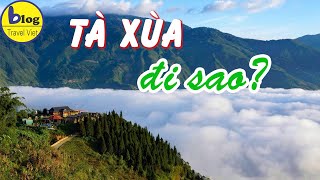 Kinh nghiệm du lịch Tà Xùa 3 ngày 2 đêm trọn vẹn