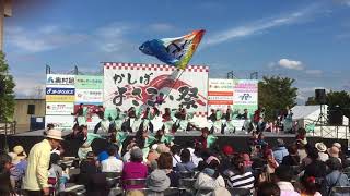 香芝よさこい 2017よさこい連「わ」 風想ひて