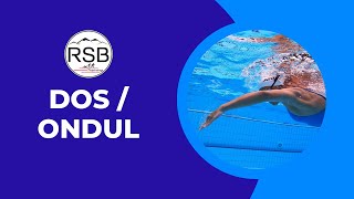 Dos + ondulations - Nage hybride (55/60) - ÉDUCATIF NATATION TECHNIQUE - RSB Training