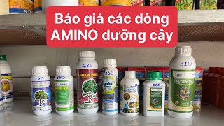 Báo giá các dòng AMINO nhập dưỡng cây mới nhất #baogia #amino