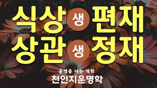 식상생편재 상관생정재