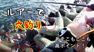 ルアーで穴釣り！　あそこもここも高ポイント　【八景島対岸】20210412