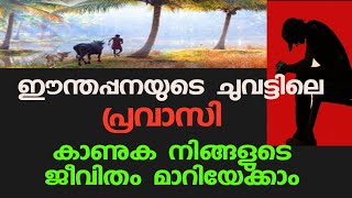 ഈന്തപ്പനയുടെ ചുവട്ടിലെ പ്രവാസി | Pravasi Story | Job in Gulf