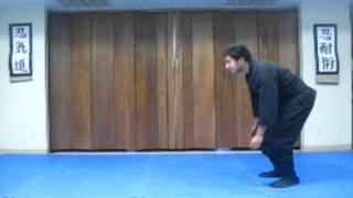 Free Martial Arts Lesson for youtube #10
