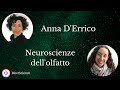 Neuroscienze dell'olfatto 👃 - con Anna D'Errico