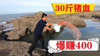 30米长海峡沟撒入30斤猪血，值钱海货连抓几十条，泰泰爆赚400多