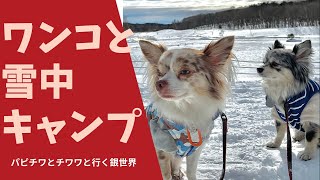 【グルキャン】2022　新年ワンコと雪中キャンプ vlog  エンゼルフォレスト那須白河