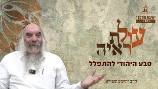 טבע היהודי להתפלל | עולת ראיה - שיעור 3 | הרב יהושע שפירא